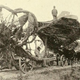 Illustration for article titled 14,000,000 historic images headed to Flickr